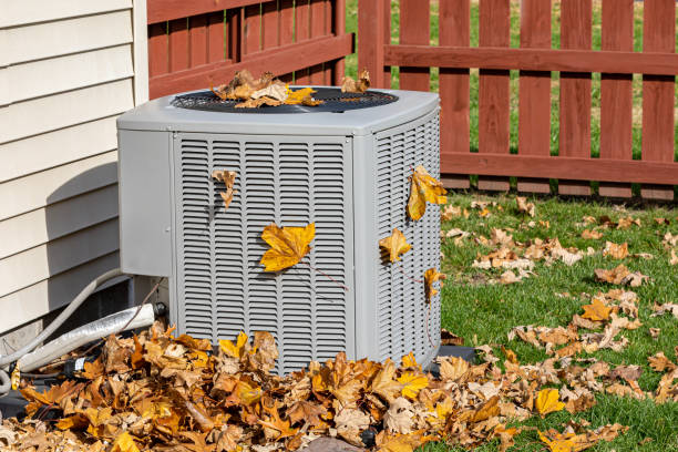 Best HVAC Air Duct Cleaning  in Essex Junction, VT